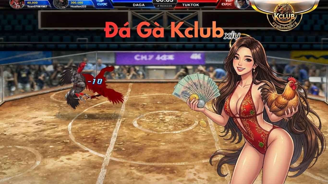 Ưu điểm nổi bật của sảnh đá gà Kclub Ưu điểm nổi bật của sảnh đá gà Kclub